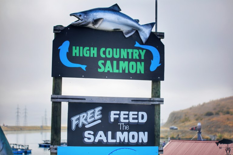 High Salmon Country_Twizel_New Zealand_2