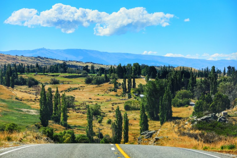 On the way to Mount Cook New Zealand_1