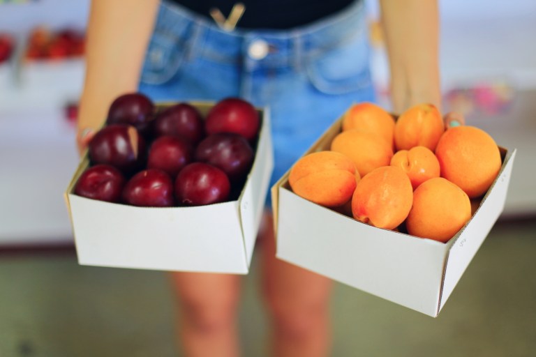 Roxburg_New Zealand_1