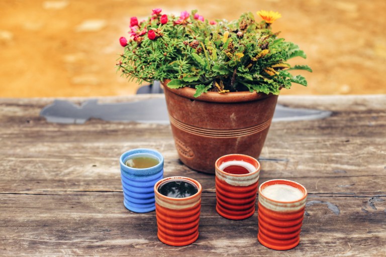 Hobbiton_Dragon Inn_2