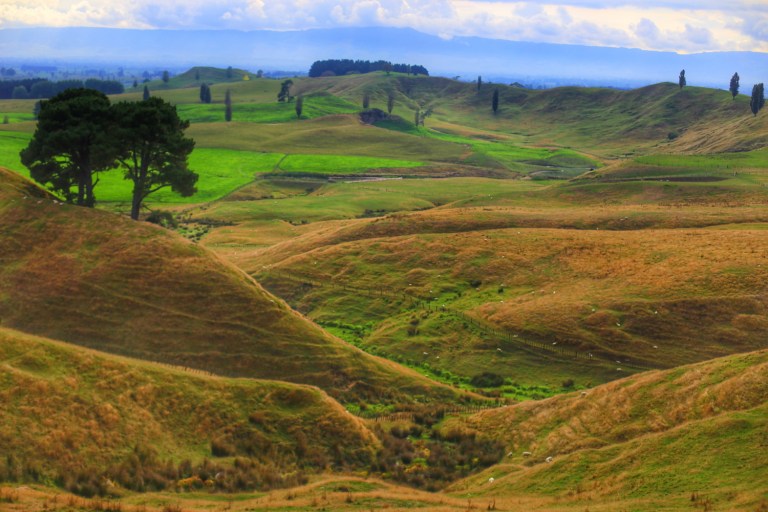 Hobbiton_New Zealand_17