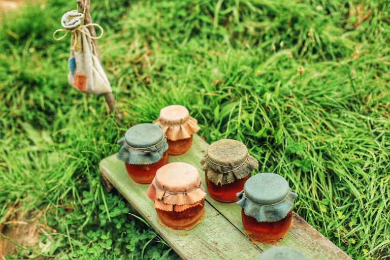 Hobbiton_New Zealand_Hobbit House_9