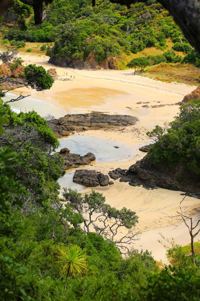 Mermaid Pools_New Zealand_1
