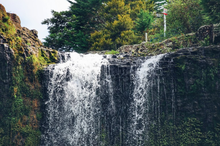 Whangarei Falls_New Zealand_2