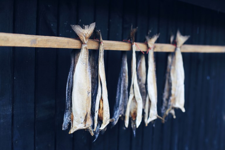 Faroe Islands_food