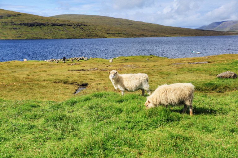 Hike_Sorvagsvatn Lake_Vagar_Faroe Islands_8