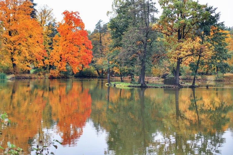 Chemistry at Zabola Castle_13