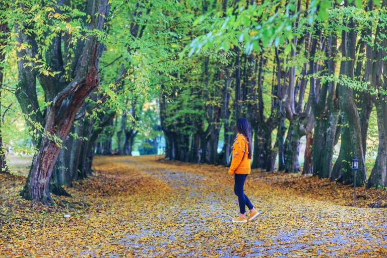 Chemistry at Zabola Castle_8