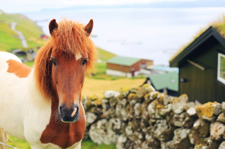Kirkjubour_Streymoy Island_Faroe Islands_5