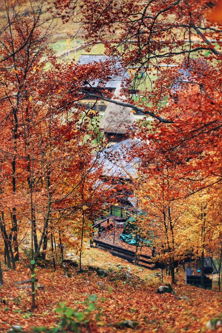 Raven's Nest The Hidden Village_8