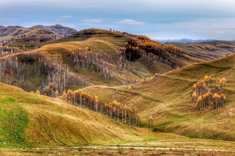 Ravens Nest_Road to the Hidden Village_3