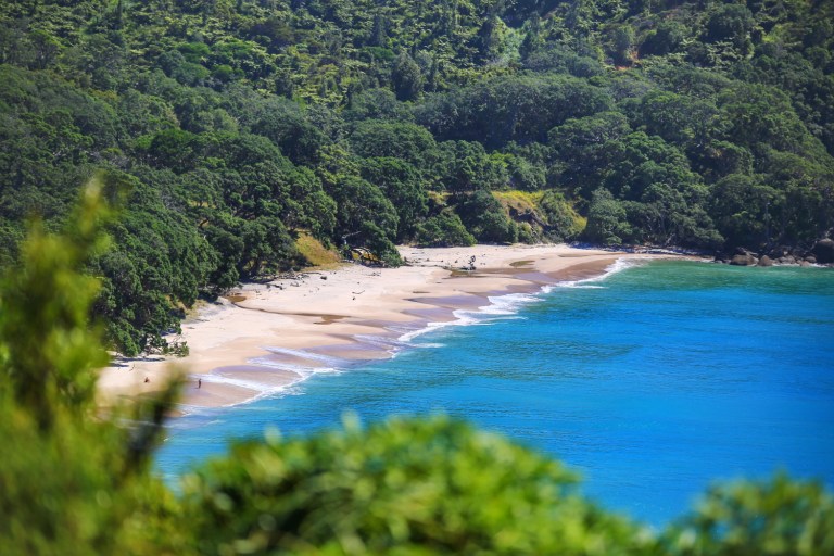 Orokawa Bay_Waihi Beach_New Zealand_2