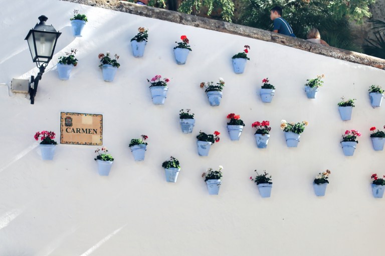 Marbella_Andalucia_Spain_3