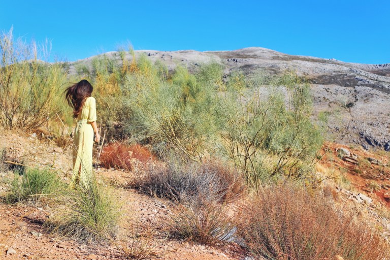 Road between Casares and Ronda_1