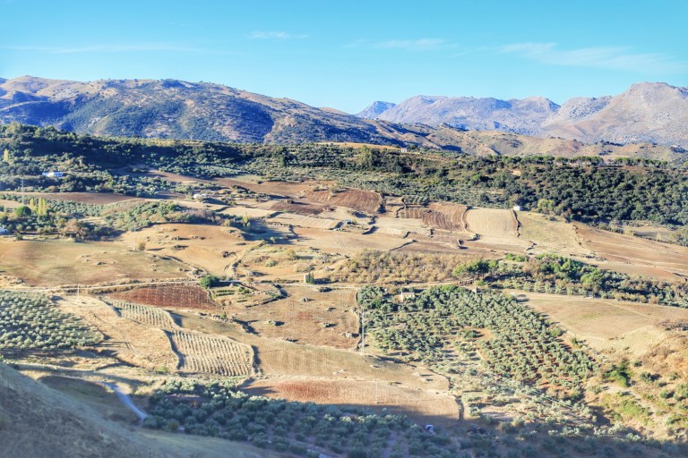 Ronda_Andalucia_Spain_12