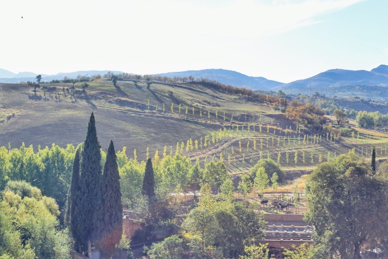 Ronda_Andalucia_Spain_13