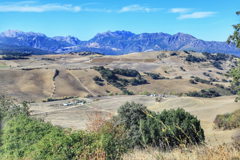 Road to Grazalema_Arid Vegetation_1