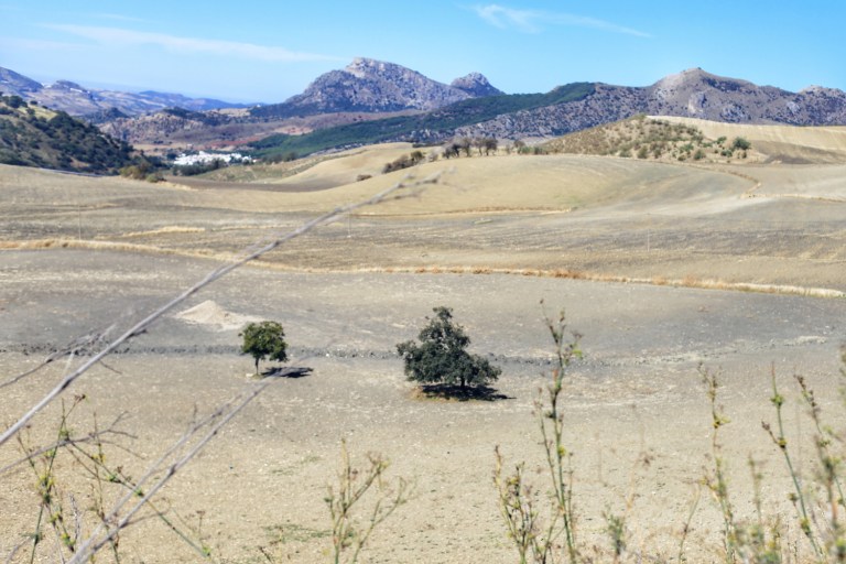 Road to Grazalema_Arid Vegetation_2