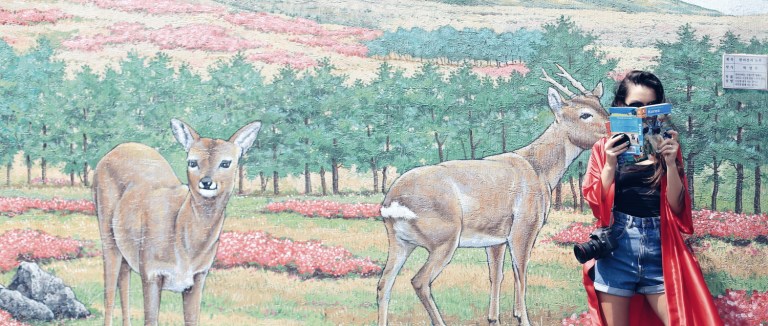 Jeju City_South Korea_5 (2)