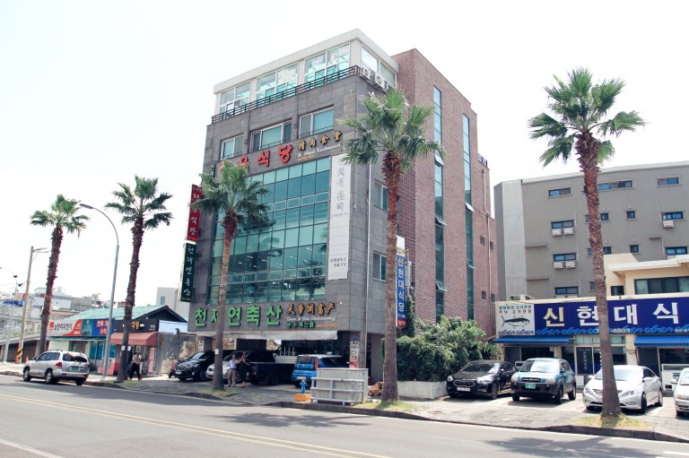 Jeju City_South Korea_6 (2)