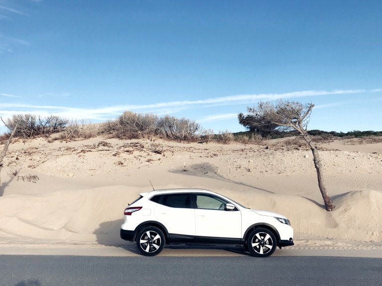 Dunas de Valdevaqueros_Tarifa_Andalucia_Spain_2