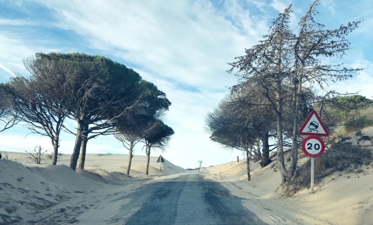 Dunas de Valdevaqueros_Tarifa_Andalucia_Spain_3
