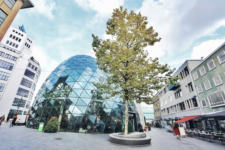 Baby Travel_The Netherlands_28