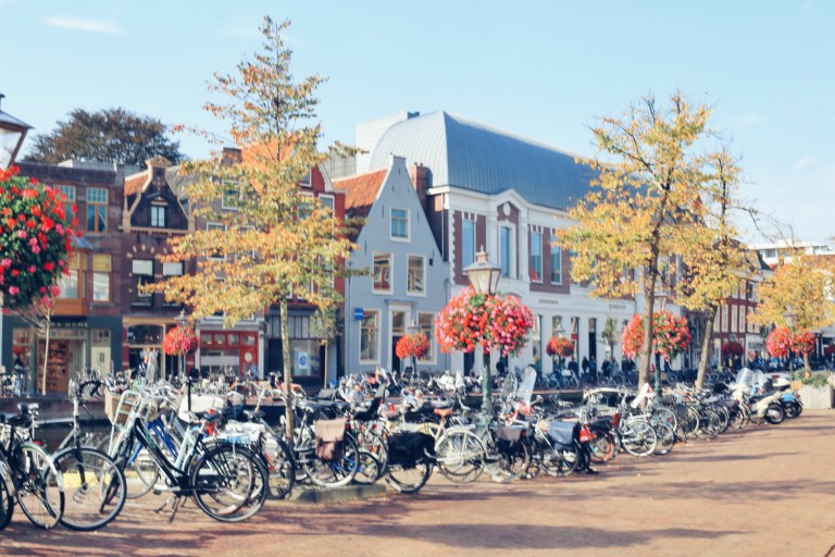 Baby Travel_The Netherlands_38