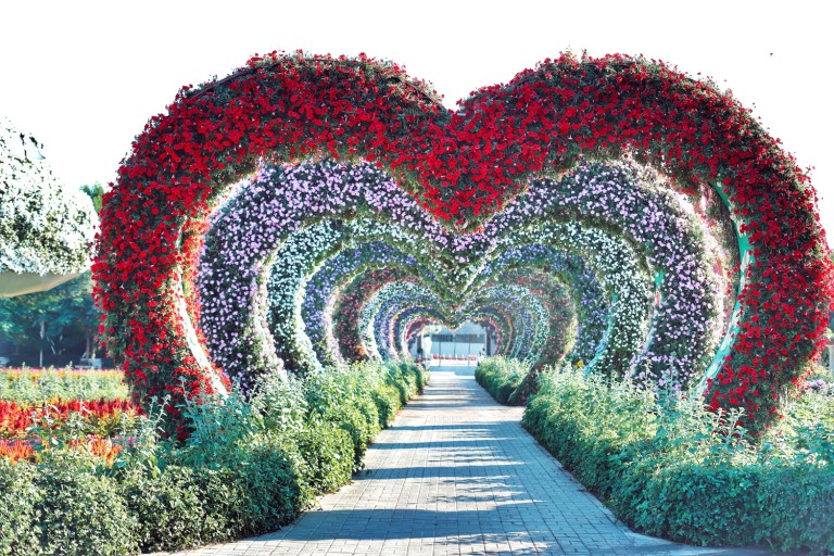 miracle garden_dubai_1