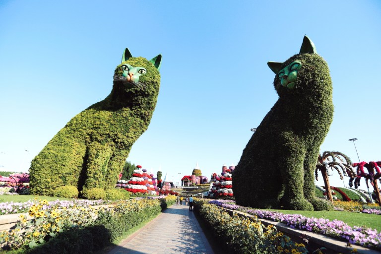 miracle garden_dubai_3