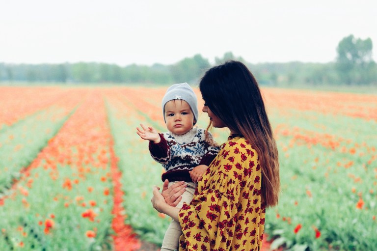 Netherlands_Lisse_Tulips_2