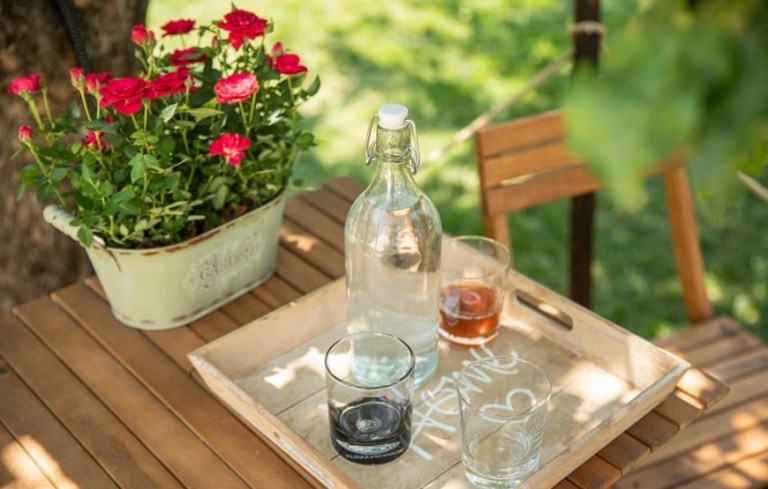 Dragonfly Gardens Brasov 1