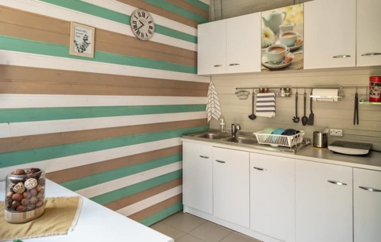 Dragonfly Gardens Brasov 4