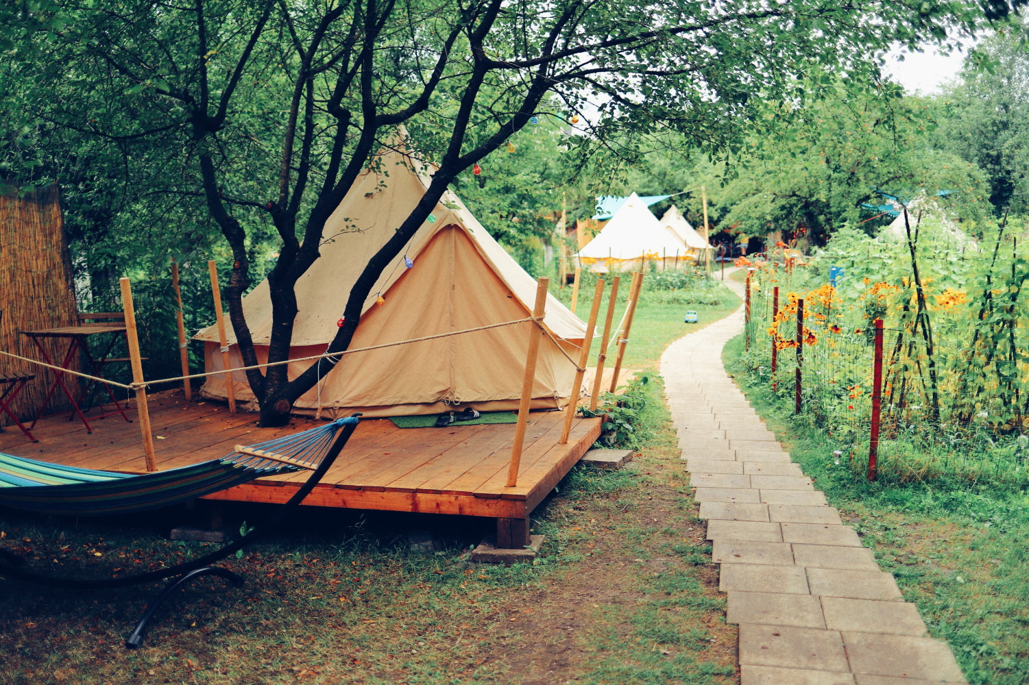 25_Glamping