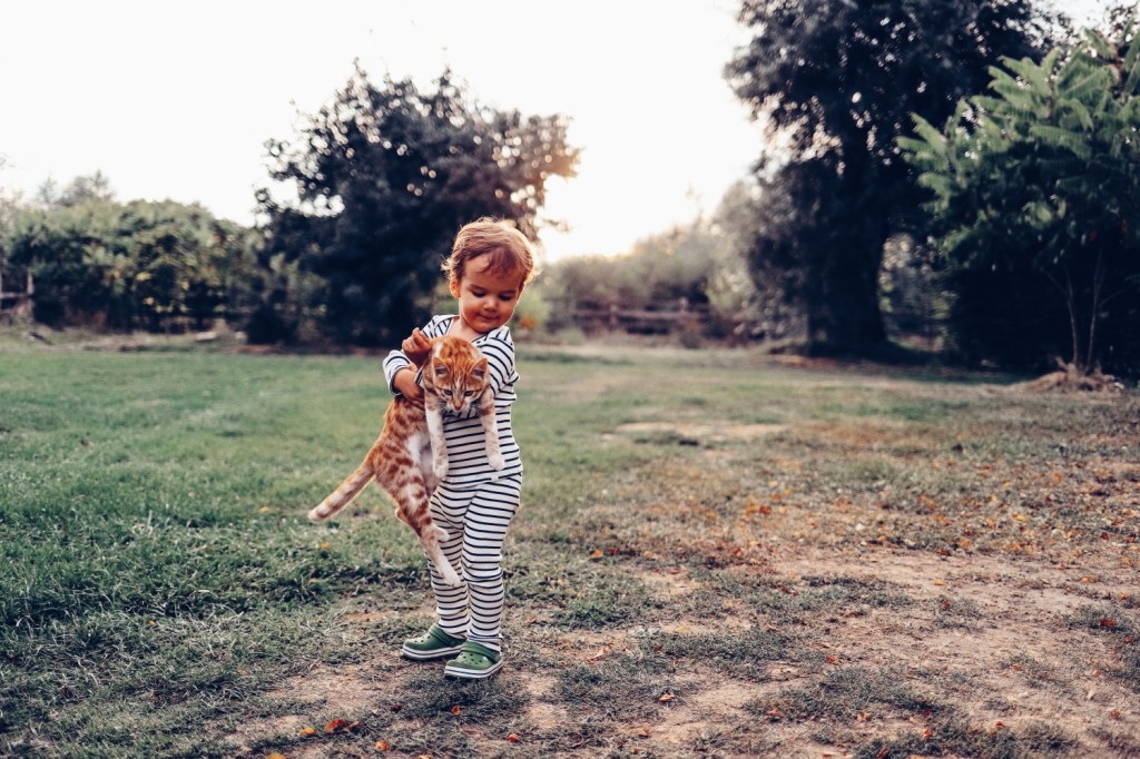 This image has an empty alt attribute; its file name is 53_camper-trip_119.jpg