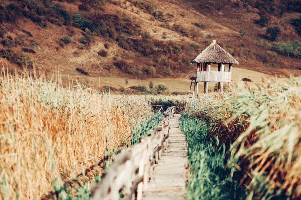 This image has an empty alt attribute; its file name is 60_camper-trip_99.jpg