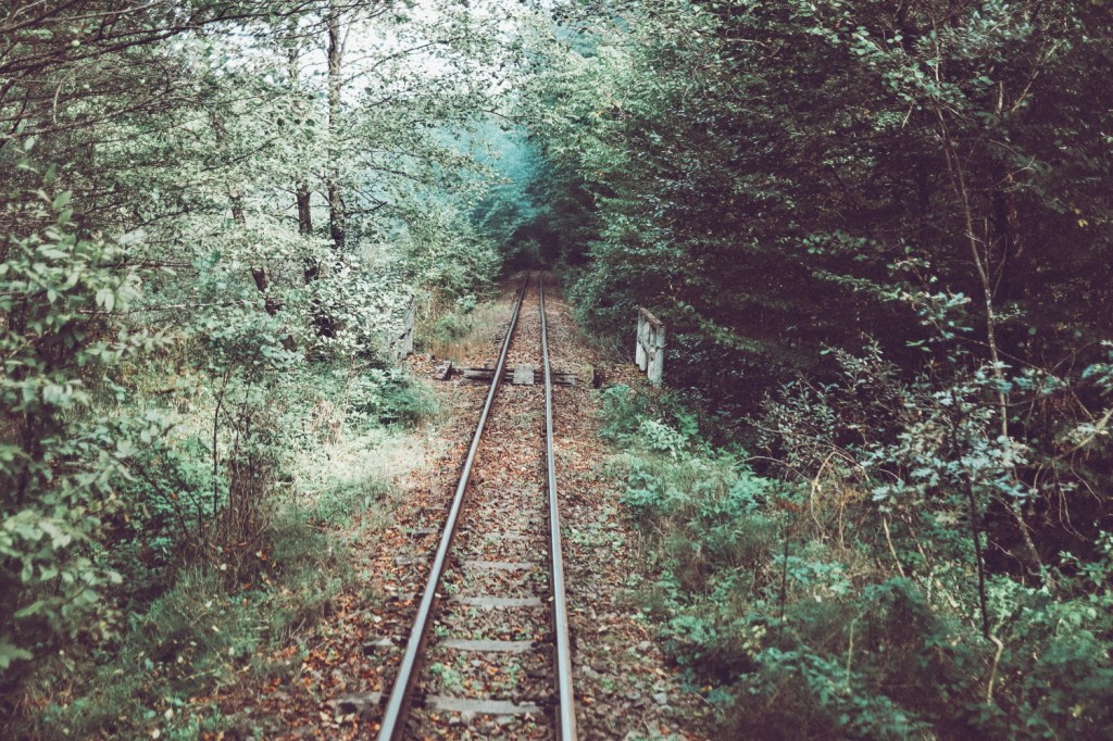 This image has an empty alt attribute; its file name is 62_camper-trip_117.jpg