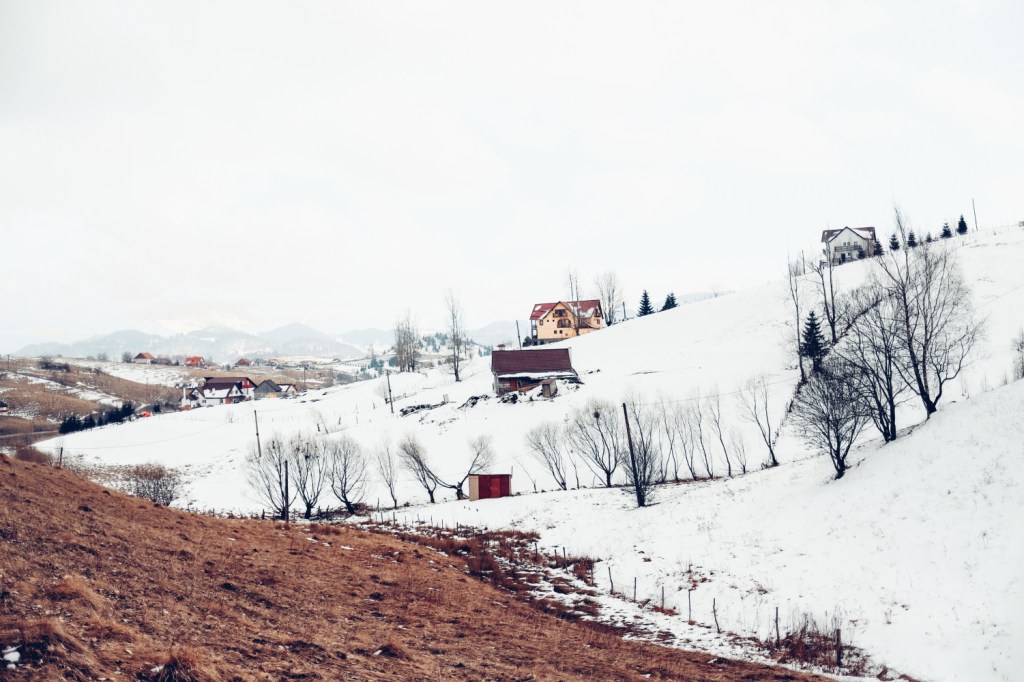 This image has an empty alt attribute; its file name is tripsylvania-tiny-house_1.jpg