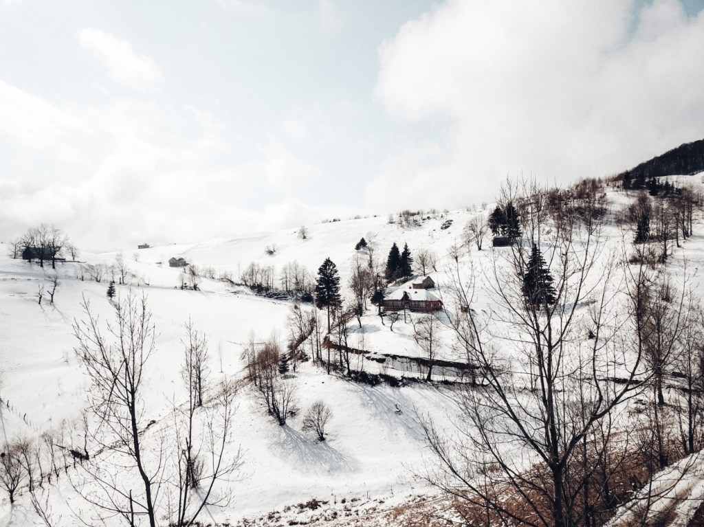 This image has an empty alt attribute; its file name is tripsylvania-tiny-house_3.jpg